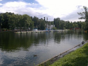 2012-06-29-596